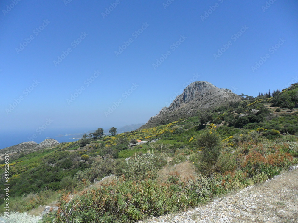 The colorful and beautiful nature on the Greek island of Samos in the Aegean Sea, Greece