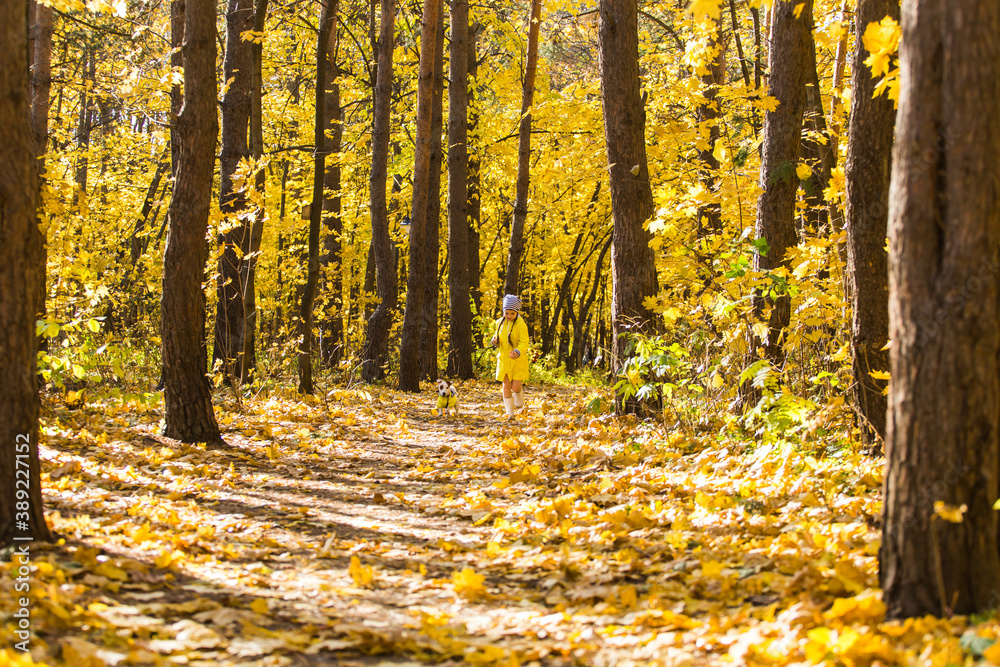 Little girl with a dog jack russell terrier. Child, childhood, friendship and pet concept. Small dog walking in the autumn park.