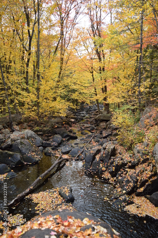 Waterfall in Autumn