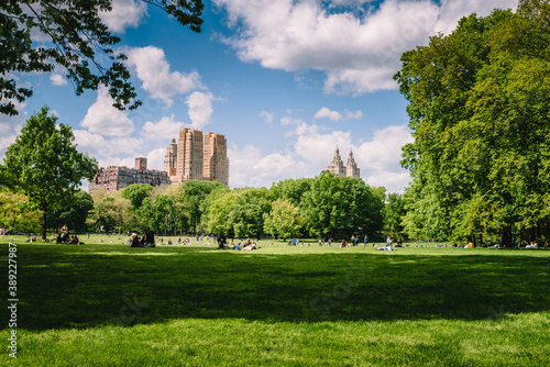 Beautiful day at Central Park in New York