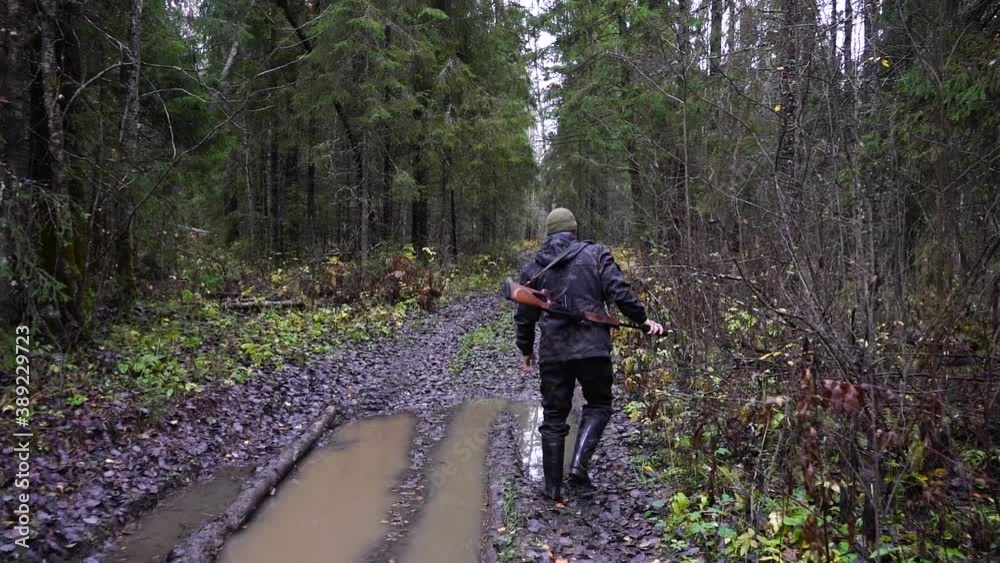 Hunter with a gun walks along a forest road Hunter with a gun walks along a forest road