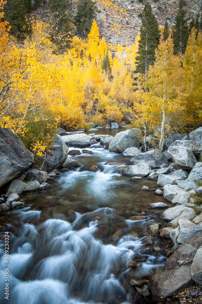 Autumn Stream Autumn Stream