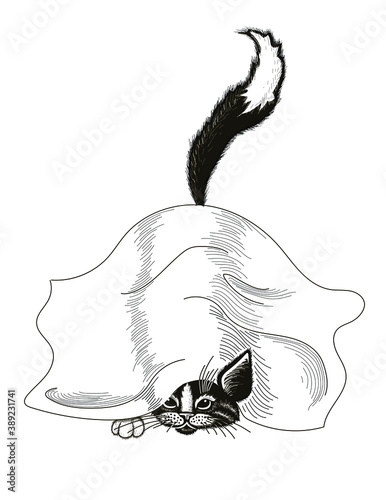 The cat hides under a blanket, his face, one paw and a tail peep out. The drawing is drawn in black and white, isolated on a white background. Stock vector illustration