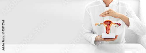 Gynecology concept, diagnostic and medical care of gynecological disease. Gynecologist holding anatomical uterine, vagina model with pathologies. Web banner photo