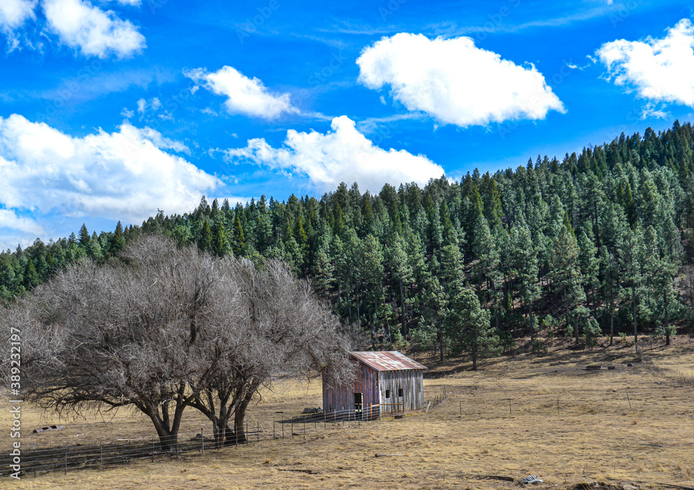 landscape with a cabin in the background landscape with a cabin in the background