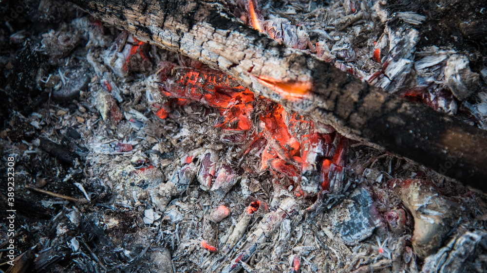 Embers in the fire. Dry, thin branches were added to the fire. Embers in the fire. Dry, thin branches were added to the fire.