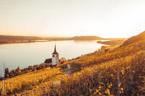 Vineyards of Ligerz, Switzerland