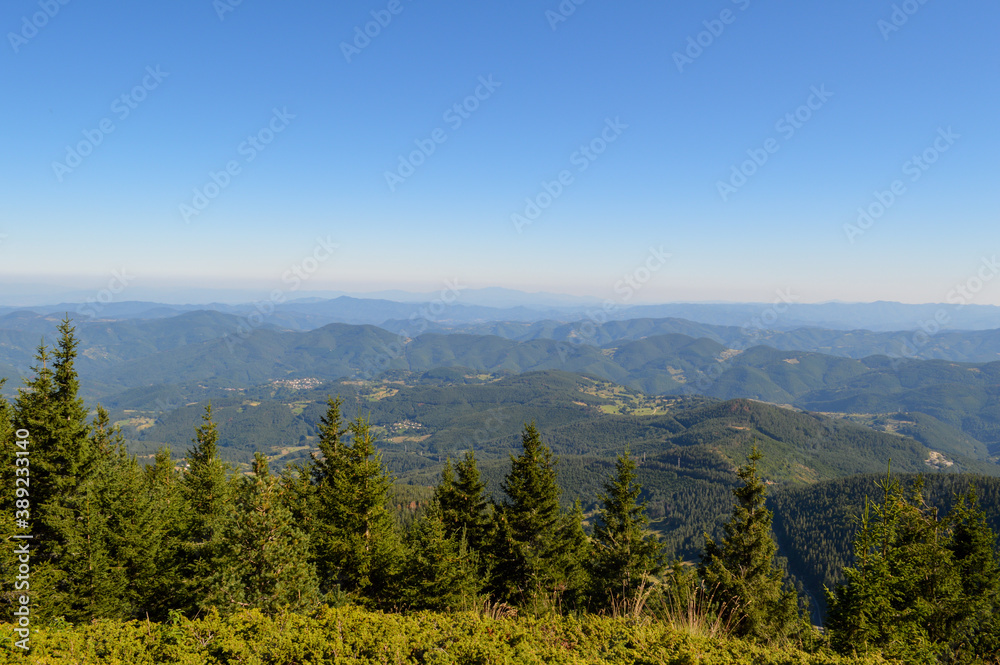 Autumn in Rodopi Mountain