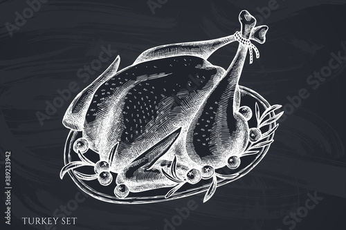Vector set of hand drawn chalk turkey