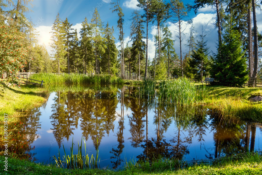 See in dem sich Bäume spiegeln wiese um den See bei Gegenlicht mit tiefstehender Sonne im Sommer ohne Menschen 