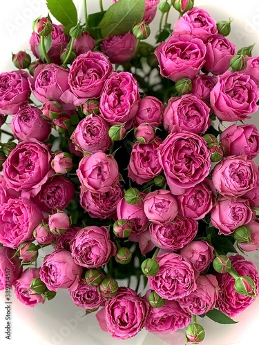 very beautiful bouquet of pink roses © Gnevkovska