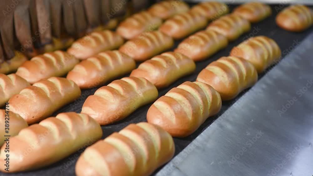fresh hot flavorful loaves and pastries come out of the oven against the background of an industrial line or container with bakery products in a modern bread factory or bakery. fresh hot flavorful loaves and pastries come out of the oven against the background of an industrial line or container with bakery products in a modern bread factory or bakery.