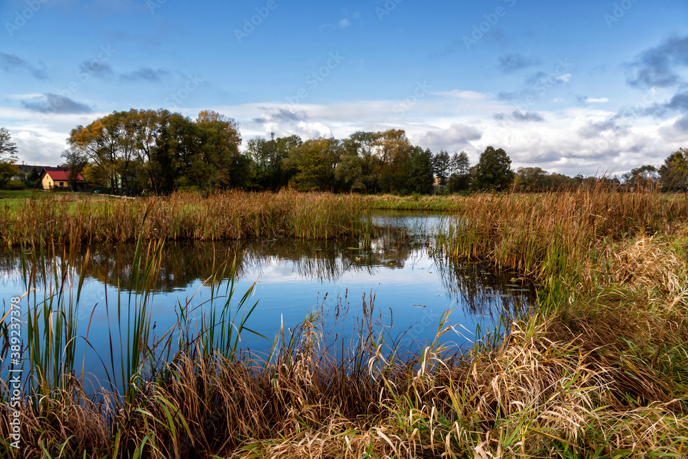 Jesienny krajobraz doliny rzeki Narew, Podlasie, Polska 