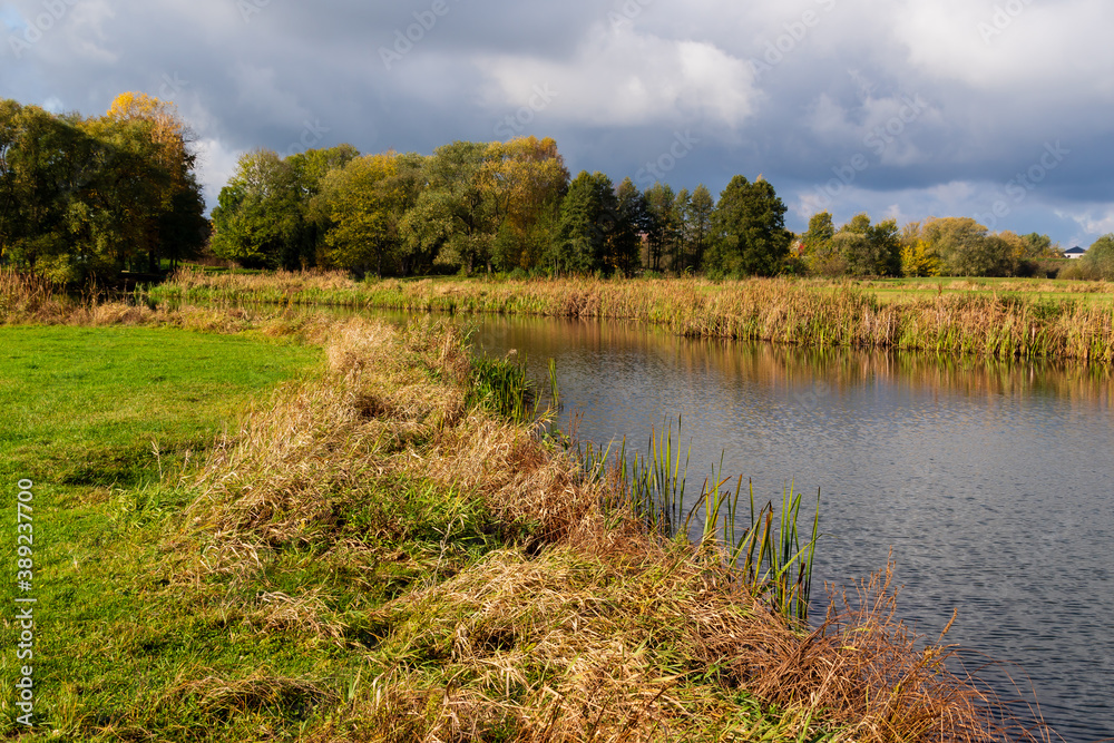 Jesienny krajobraz doliny rzeki Narew, Podlasie, Polska  - obrazy, fototapety, plakaty 