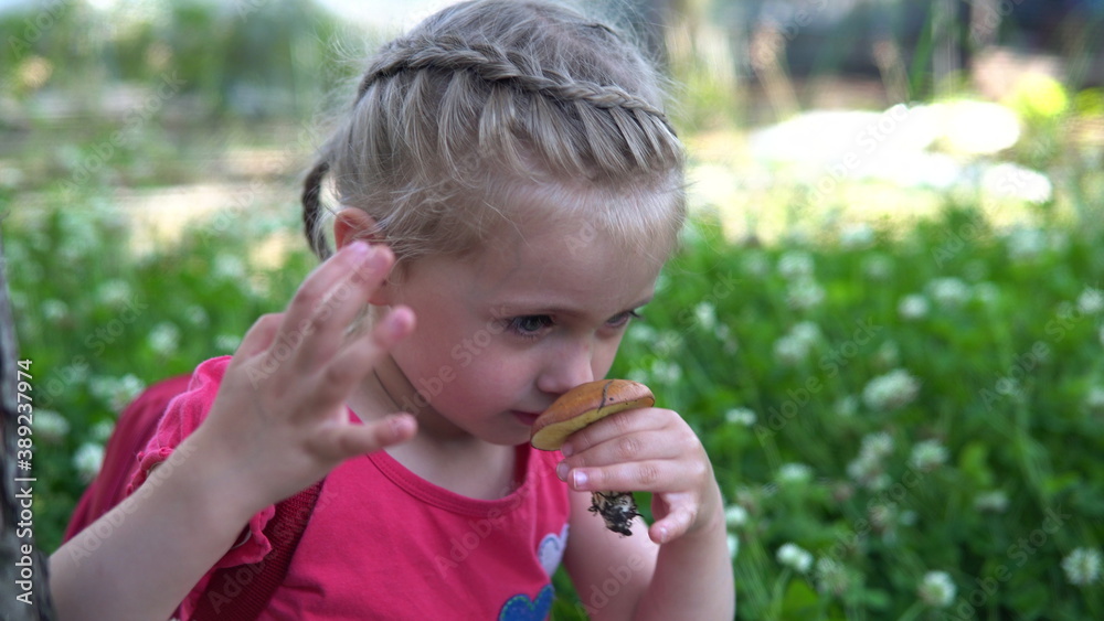 Little girl in the field. Girl sniffs a mushroom. Little girl in the field. Girl sniffs a mushroom.