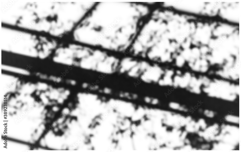 Fototapeta premium Trees and architectural elements shadows
