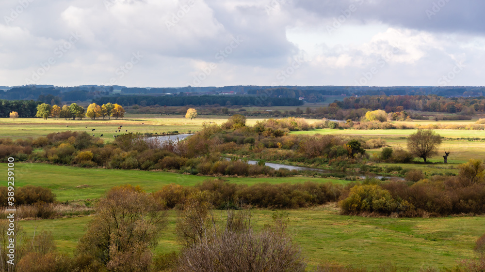Jesienny krajobraz doliny rzeki Narew, Podlasie, Polska 