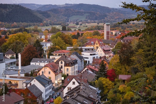 Blick über den Freiburger Stadtteil Littenweiler im Herbst