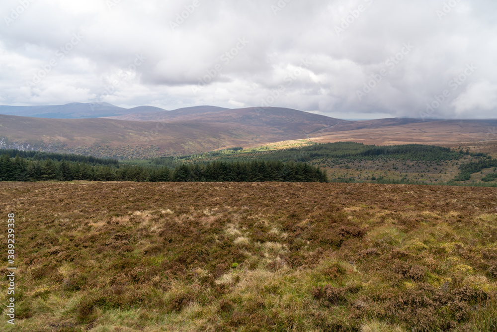 Obraz premium Maulin Hill, Wicklow Mountains National Park, Ireland