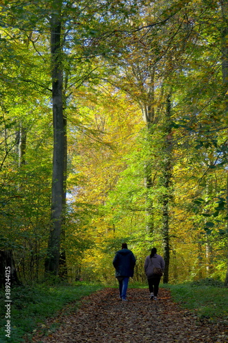 Fototapeta Naklejka Na Ścianę i Meble -  Waldweg im Herbst