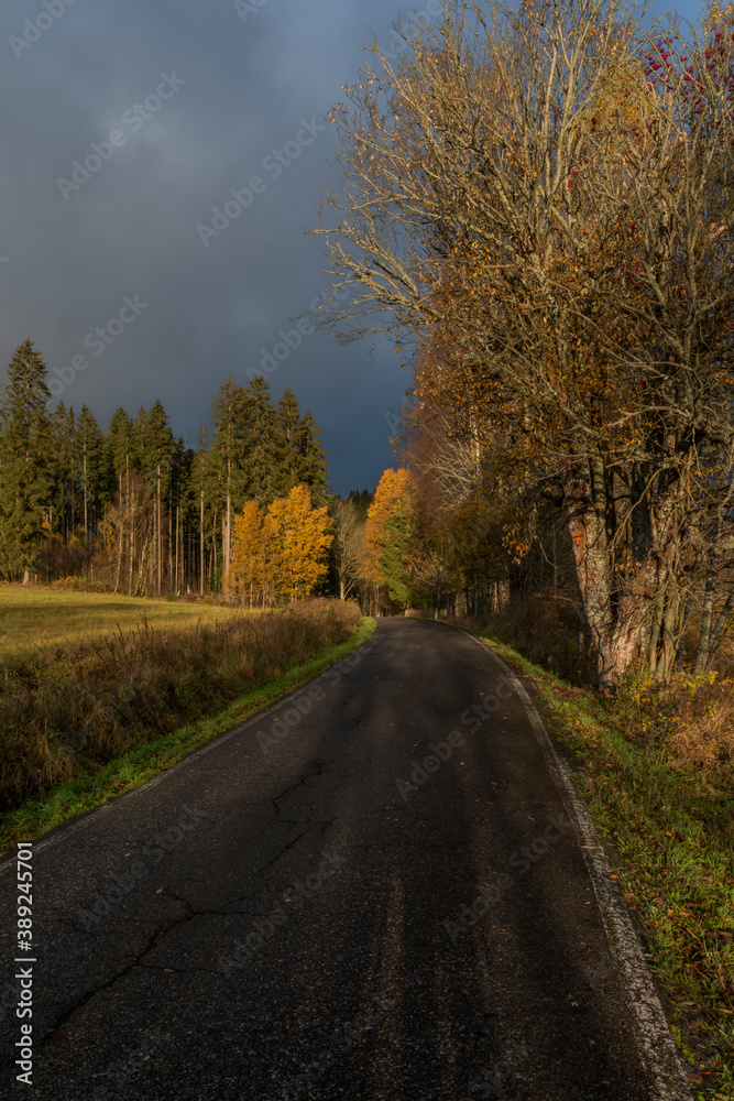 Obraz premium Sunrise near forest and road to centre of national park Sumava