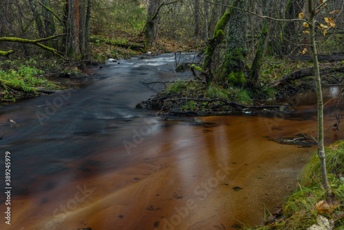 Jezerni creek in autumn color morning with red water and green beautiful forest