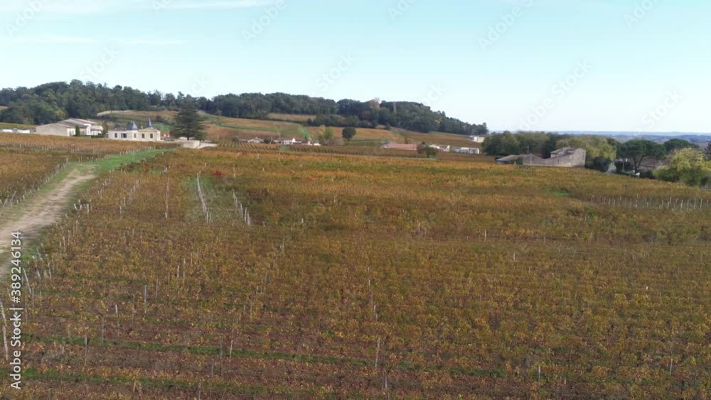 Vignes de Saint-Émilion en Gironde, vue aérienne en automne Vignes de Saint-Émilion en Gironde, vue aérienne en automne