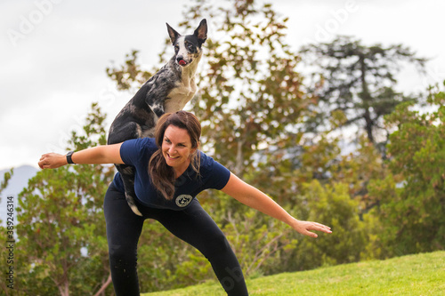 Woman with Australian Koolie dog on her back in the park photo