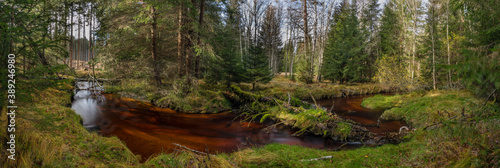 Jezerni creek in autumn color morning with red water and green beautiful forest photo