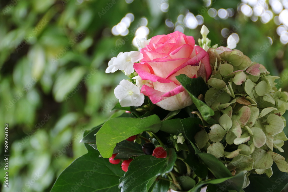 Blumenstrauss mit Rose, Hortensienblüte und roten Beeren vor grünem Hintergrund Blumenstrauss mit Rose, Hortensienblüte und roten Beeren vor grünem Hintergrund