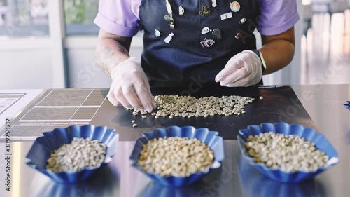 Sorting of raw coffee beans.