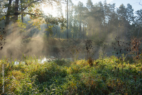 Poranna mgła unosząca się nad rzeką płynącą przez las.