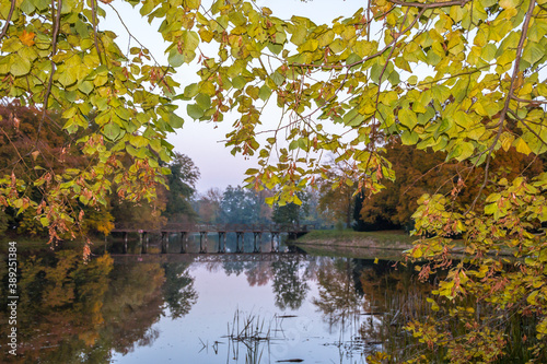 Autumn trees alley with colorful leaves in the park