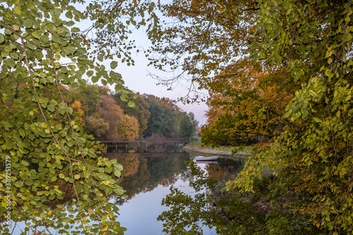 Autumn trees alley with colorful leaves in the park