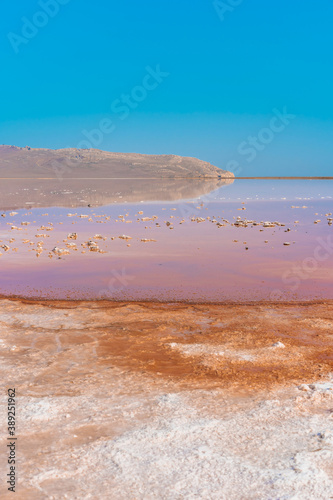 Unusual pink salt lake in the Crimea. Incredible reflection on the water surface