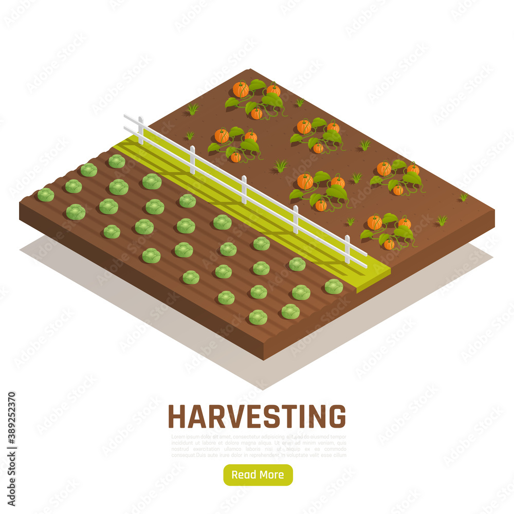 Farming Harvesting Isometric Composition Farming Harvesting Isometric Composition