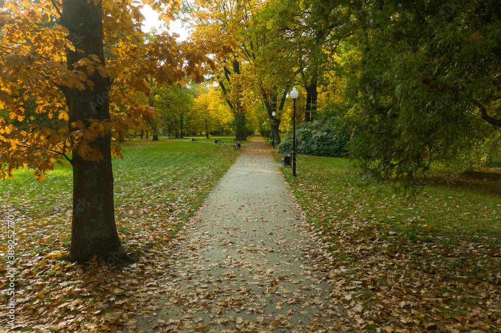 Fototapeta premium Park dworski w miasteczku Iłowa w Polsce