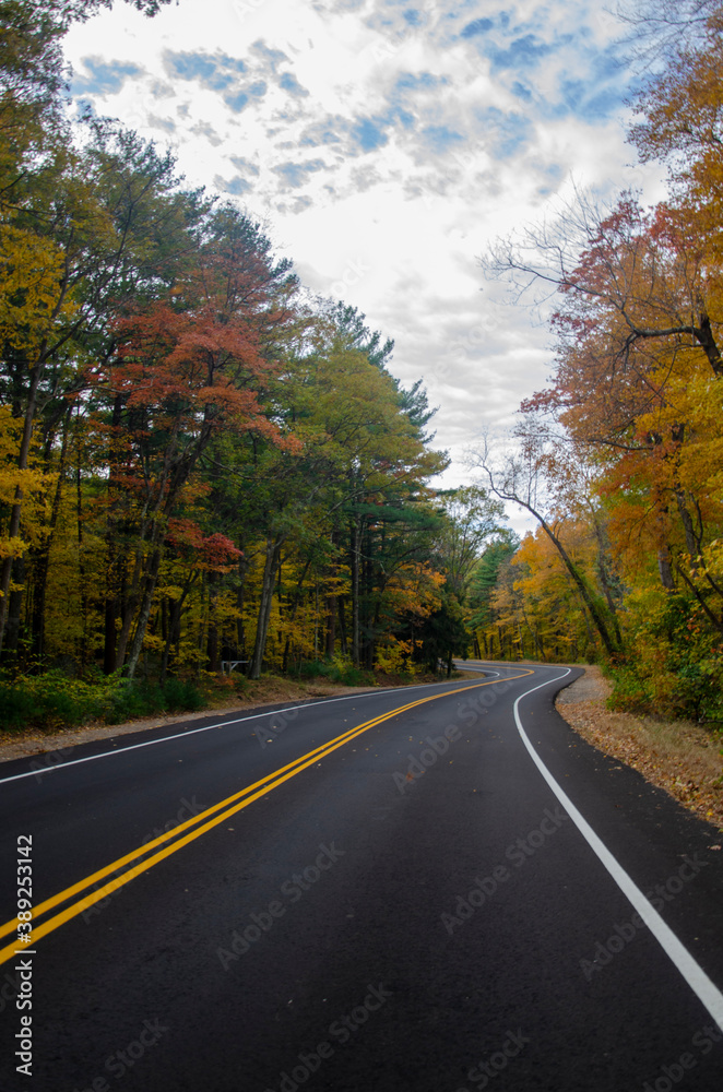 road in autumn forest road in autumn forest