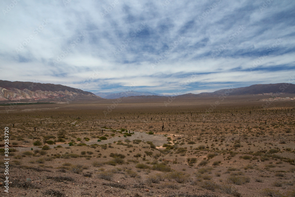 Desert landscape. View of the arid land, valley, vegetation and mountains in Los Cardones National Park in Salta, Argentina. 