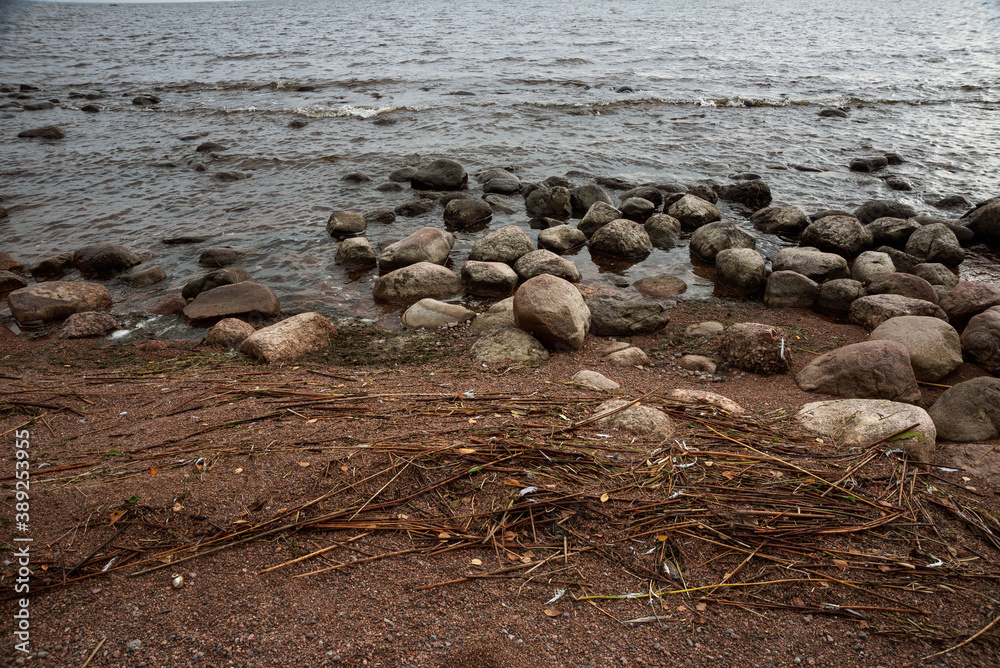 Obraz premium Surf zone in the Gulf of Finland with reeds and debris washed ashore
