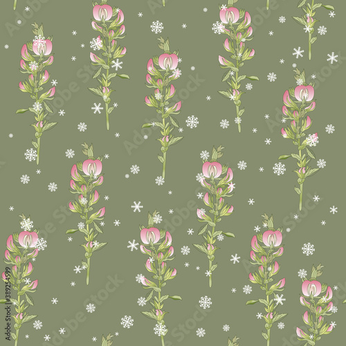 Seamless floral pattern with blooming branches of Ononis Hircina flower and snowflakes.