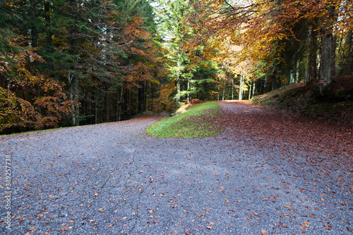 Bellissima passaggiata sulla piana del Cansiglio. Posto meraviglioso e tranquillo. photo