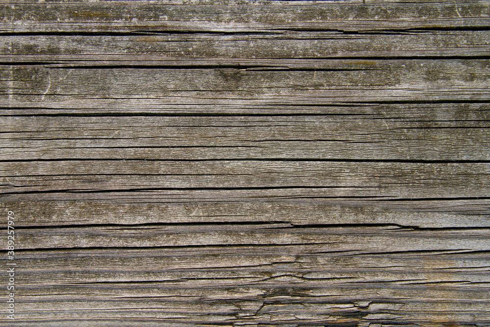 Wood texture