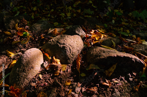 Three stones in sunlight in the afternoon