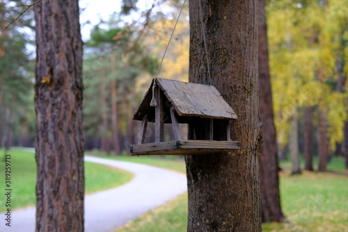 wooden bird house © м д