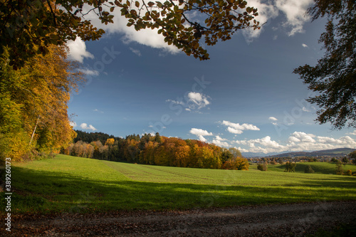 Fototapeta Naklejka Na Ścianę i Meble -  Herbst im Aargau