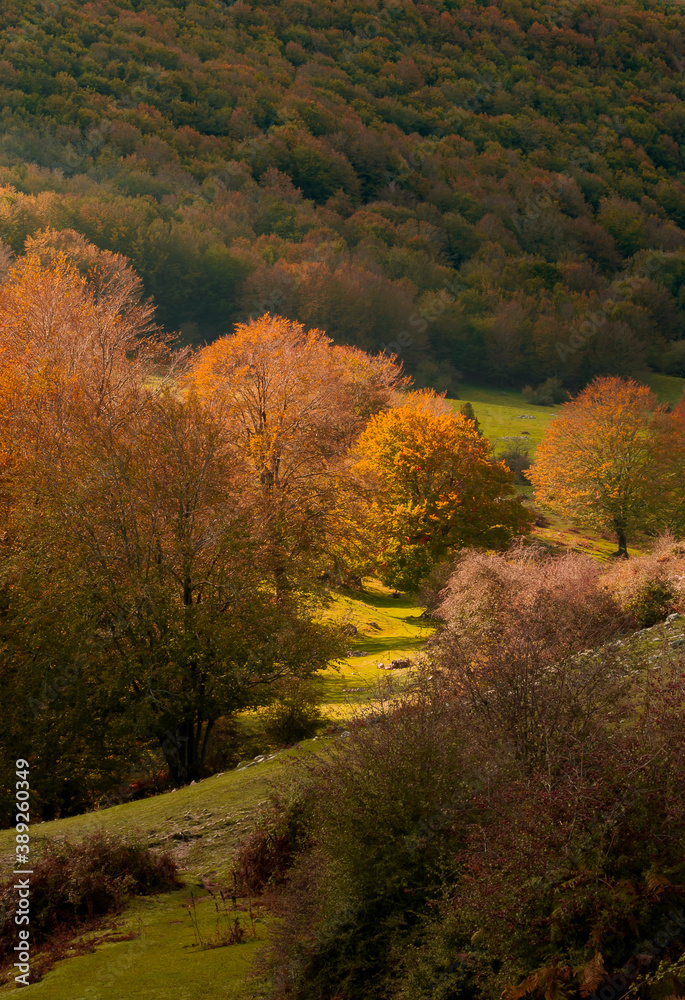 Autumn colors in the mountains Autumn colors in the mountains