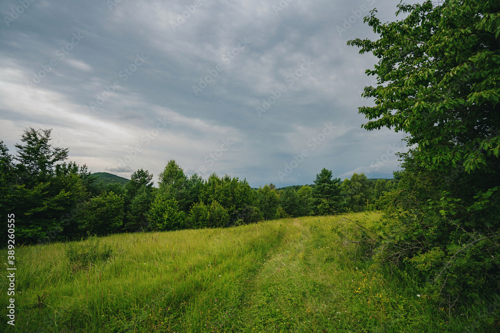 Fototapeta premium Landscape in Slovakia countryside