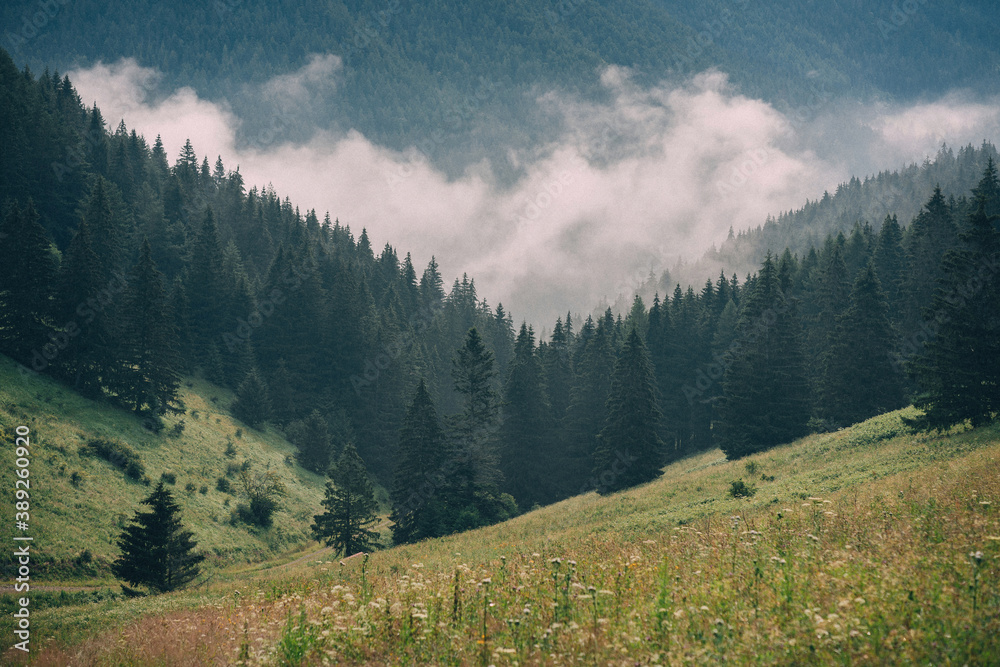 Fototapeta premium Landscape in Slovakia countryside