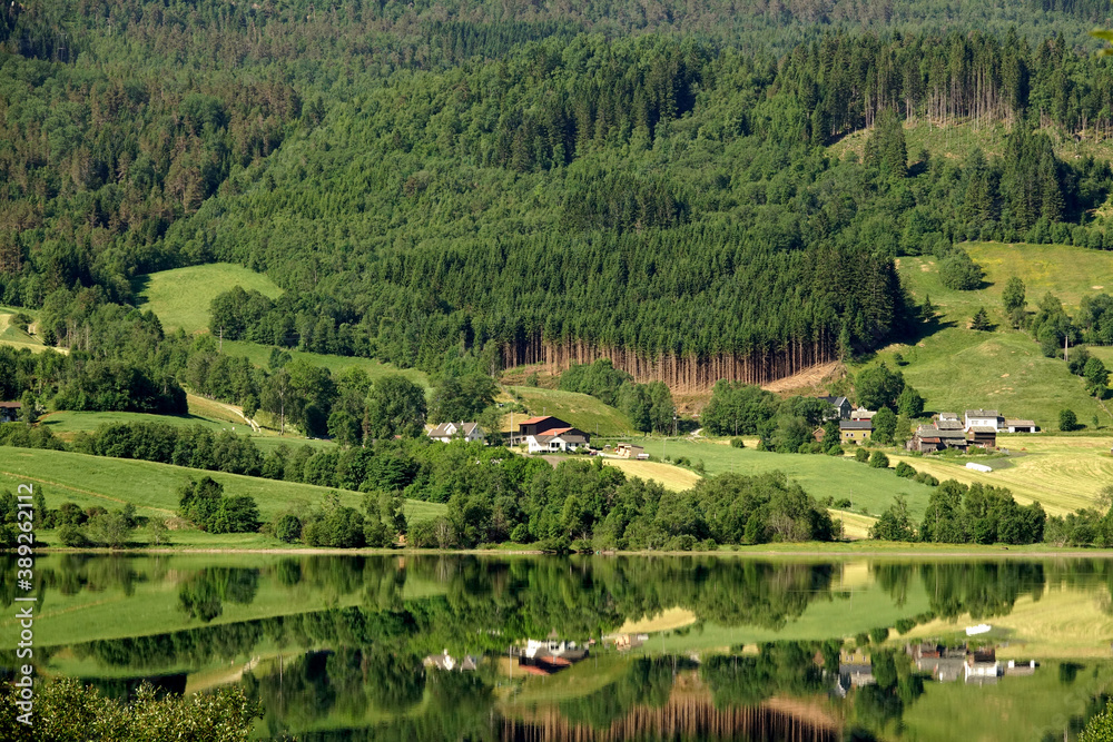 Norwegian forest with its reflection in the lake